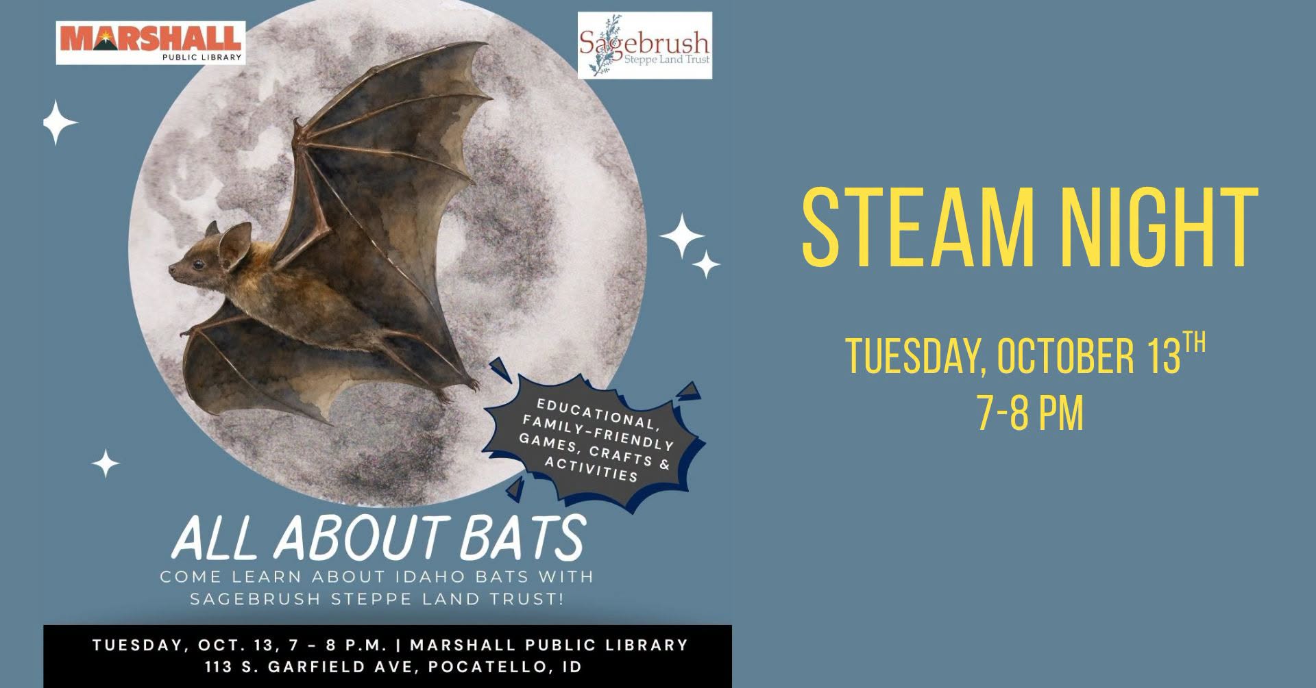 STEAM: All About Bats!