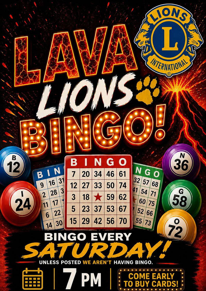 Lava Lions Bingo