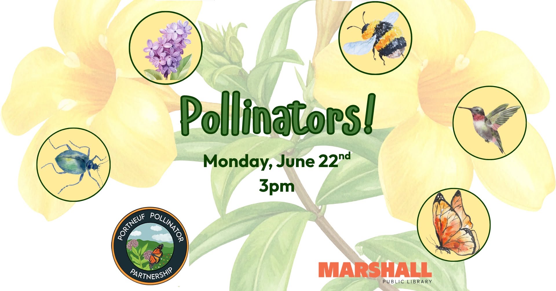 Children's Activity: Pollinators!