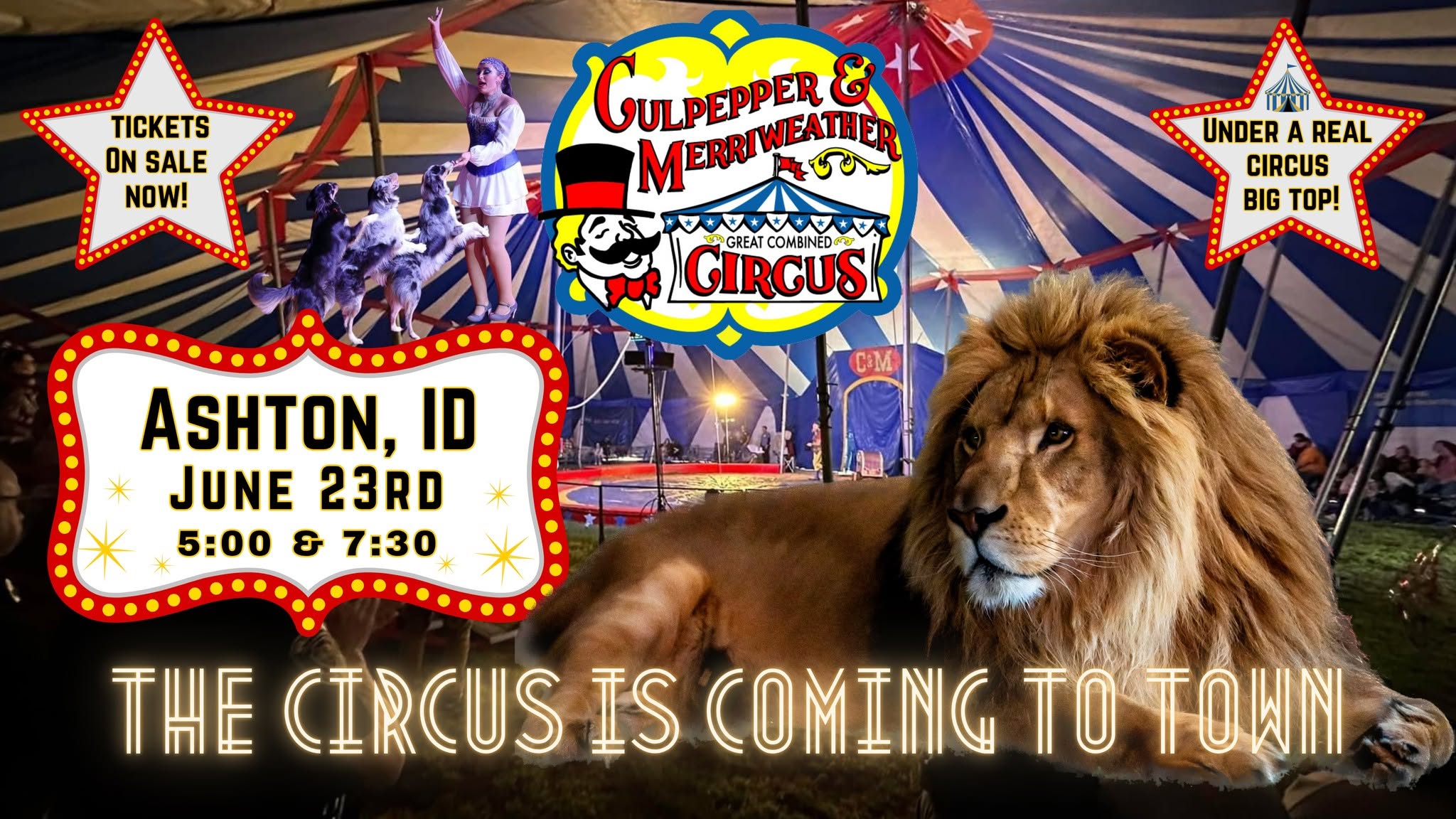 C&M Circus | Ashton