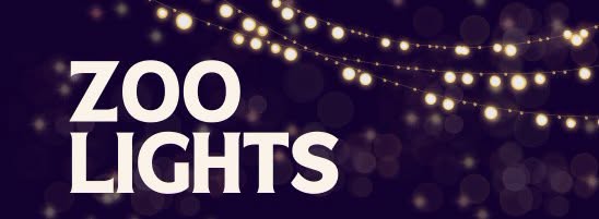 Zoo Lights