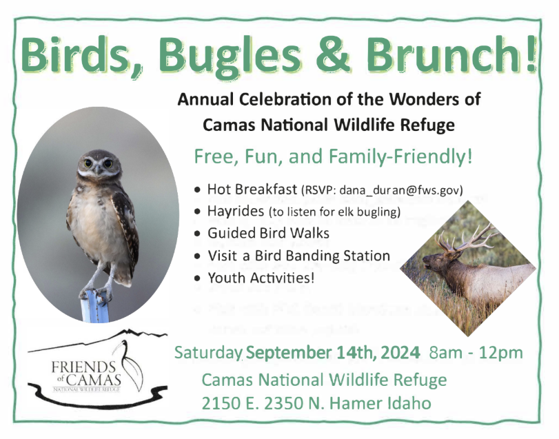 Birds, Bugles and Brunch