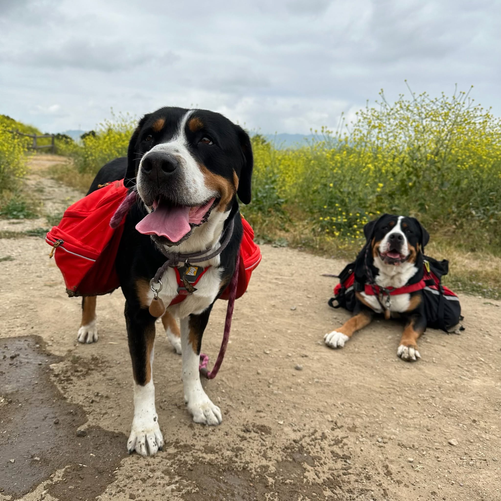 Summer Pack Hike